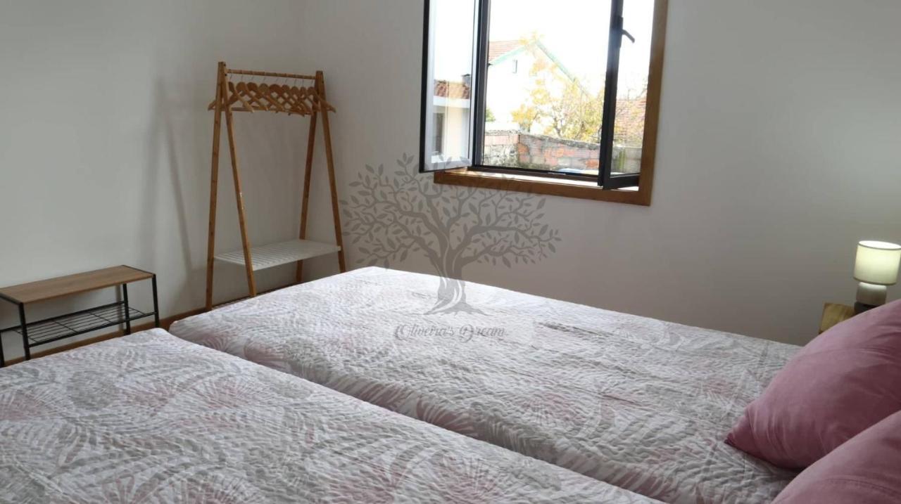 Oliveira'S Dream - Stay Good, Feel Good Maia  Luaran gambar